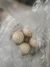 萌嘟星宠鱼缸造景9件套贝壳台美人鱼海螺海星仿真水草底沙石骑鲸少女 实拍图