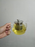 金镶玉 茶壶 耐热玻璃茶壶功夫茶具过滤内胆 雅风壶500ml 实拍图