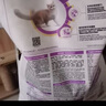 冠能幼猫粮小奶猫离乳期奶糕粮2.5kg胃肠室内成猫粮1.8KG 全价幼猫7kg 实拍图