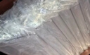 得力deliT型210*100亚克力桌牌会议牌席卡桌签台卡/展示牌 座位牌标价牌 学生/办公用品5只装 TF205 实拍图