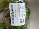  大芹菜约400g 实拍图
