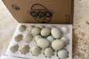 我老家新鲜绿壳乌鸡蛋 谷饲喂养 农场直供 30枚 1140g 实拍图