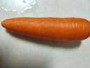 绿源禾心有机胡萝卜新鲜带泥红萝卜甜脆生吃沙拉榨汁辅食材健康无农残蔬菜 一斤 实拍图