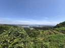 Naturehike挪客星简L01铝合金蛋卷桌便携式户外露营野餐折叠桌 橡木色 大号 实拍图