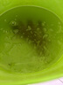 松宝（sobo）鱼缸增氧泵养鱼氧气泵小型家用充氧泵水族箱打氧机增氧泵 双孔3W 实拍图