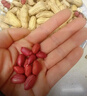 猪兄四粒红花生2斤 带壳原味红衣红皮花生仁下酒菜坚果炒货年货花生米 实拍图