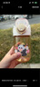 膳魔师（THERMOS）儿童水杯PPSU婴儿手柄吸管杯学饮杯耐高温幼儿园学生杯带提手BBSI 实拍图