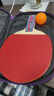红双喜（DHS）乒乓球拍二星级直拍H2006单拍附拍包 实拍图