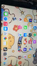 Apple/苹果 iPad mini (A17 Pro) 8.3英寸 平板电脑(256G eSIM版/mini7/MXQ53CH/A)蓝色 实拍图