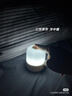 京黔充电小夜灯婴儿喂奶灯触摸夜灯卧室床头灯伴睡眠氛围灯宿舍拍拍灯 实拍图