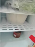 新飞（frestec）车载冰箱小型家用寝室宿舍化妆品迷你冷藏箱 25L 车家两用 【双核皓月白】数显 实拍图