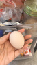 黄天鹅可生食鸡蛋 4枚/单枚53g礼盒装 生鲜鸡蛋早餐源头直发 无抗生素 实拍图