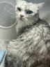 雪貂留香猫咪沐浴露宠物香波貂油系列升级款洗护一体全猫通用520mL 实拍图