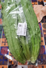 油麦菜约300g 实拍图