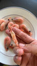 东上御品北极虾新鲜甜虾刺身冰虾大虾超大带籽头籽腹籽虾类 海鲜水产A3 3斤(净重)  头籽北极虾[80/100] 实拍图