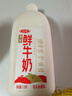 三元 全脂 鲜牛奶 1.8L 大桶家庭装  巴氏杀菌 早餐搭档 实拍图