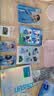 Life Space成人PYL100养胃益生菌30粒/瓶*2瓶装澳洲进口含罗伊氏乳杆菌 实拍图