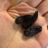 新边界（new boundaries）蓝宝石葡萄干300g 新疆吐鲁番特产超大免洗即食提子干 实拍图
