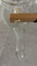 忆壶茶（YIHUTEA）泡茶壶玻璃煮茶壶家用电陶炉煮茶器养生壶 茶具套装玻璃烧水茶壶 【蒸煮双内胆】提梁壶1L 实拍图