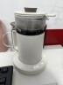 夏普多功能养生壶 电热水壶花茶壶烧水壶恒温壶 煮养生汤银耳羹茶果茶 KP-MT05L-W 白色 0.55L 实拍图