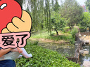 9i9婴儿袜子夏宝宝长筒袜网眼防蚊袜精梳棉袜松口薄不勒3双0-2岁蓝 实拍图