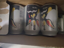 雪花啤酒（Snowbeer）纯9 330ml*24听 口感清爽 轻松畅饮 实拍图