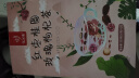 忆江南花茶红枣桂圆玫瑰花茶320g补花果茶气血养生茶茶包 实拍图
