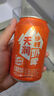 天润（terun）奶啤 新疆特产牛奶二次发酵 无酒精啤酒特色乳酸菌风味含乳乳饮料 橙罐沙棘奶啤300ml*12罐 实拍图