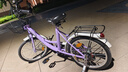 永久儿童自行车6-10岁自行车学生女童公主车男孩女孩变速减震脚踏单车 辐条-紫色【v刹/铝合金轮毂】 18寸-单速【适合125-140cm】 实拍图
