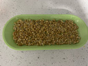 疯狂的主人猫草+6袋小麦种子盆栽无土水培薄荷化去毛球助排毛猫咪零食成幼猫 实拍图