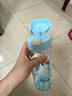 膳魔师（THERMOS）儿童大水杯壶tritan便携直饮杯男女学生小熊猫塑料水壶600ml蓝 实拍图