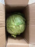 新鲜甘蓝包菜卷心菜新鲜嫩绿莲花白现摘现发到京东来买菜 新鲜包菜 1.5-2斤 人工挑拣 实拍图