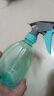 喷壶浇花浇水喷雾器气压式喷水壶家用园艺养花500ml 南瓜喷壶透蓝【1个装】 实拍图