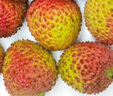 【产地直采】妃子笑荔枝1.5kg（单果16g起） 实拍图