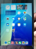 【二手95新】Apple ipad二手苹果平板电脑 迷你mini二手平版电脑国行 mini5 256G 实拍图