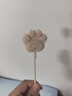 优基（YJ）猫粮冻干生骨肉成猫幼猫奶糕无谷全价全期主食三文鱼鸡肉双拼营养 生骨肉冻干猫粮10kg20斤大袋 实拍图
