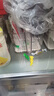 家の物语（KATEI STORY）日本大容量冰箱收纳盒大号保鲜盒食品级冷冻水果鸡蛋盒密封储物盒 升级计时功能（5L透明灰） 单件装 实拍图