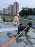 京东京造 鲜肉狗粮无谷全价狗粮小型犬粮7kg泰迪比熊博成犬 实拍图