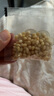 北小野野生偃松子仁 高蛋白即食坚果东北大兴安岭野生松籽方便零食 野生松子仁100g*2袋 实拍图