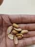 植宴 正宗山东2026年新花生米五香蒜香下酒菜零食商用价 (品尝组合)(2罐共500g)五香+蒜香 实拍图