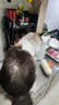 布兰德全价鲜煮主食猫条无诱食剂幼猫成猫零食猫条5支装*8盒 实拍图