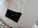 京东京造低音降噪破壁机1.2L 家用豆浆机带柔音罩 预约多功能料理机 免煮五谷杂粮榨汁机米糊机小容量 实拍图