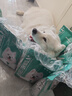 凯锐思 萨摩耶狗粮 幼犬成犬4斤犬粮专用粮 2kg 实拍图