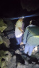 探路蜂U8感应头灯强光超亮超长续航LED夜钓钓鱼充电头戴式工作矿灯应急 实拍图