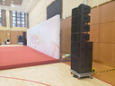 飞声悦耳防水双10寸线阵音响舞台户外大型演出婚庆商演学校礼堂宴会厅重低音箱线阵音响套装 战 神-4+2双10寸音响套装 实拍图