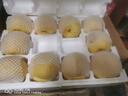梨子新鲜10斤砀山梨酥梨应季10斤包邮现摘雪梨水果梨脆甜整箱贡梨 九斤特大果礼盒送礼专用 实拍图