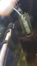 创宁鱼缸加热棒300W适合100-200L水量双控温自动恒温加温棒石英加热器 实拍图
