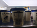 北海牧场经典原味酸奶100g*6杯  高钙含量100mg/杯低温酸奶酸牛奶 实拍图