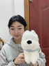 伊美娃娃西高地小狗玩偶抱枕狗狗公仔毛绒玩具布娃娃送女孩女生生日礼物 实拍图