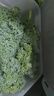 羽衣甘蓝新鲜生鲜蔬菜嫩叶甘兰芥蓝西餐沙拉榨汁减肥减脂山姆同款 羽衣甘蓝分享4斤装 实拍图